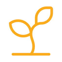 sprout